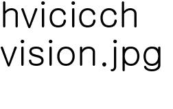 비전 및 목표